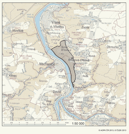 Obrázek