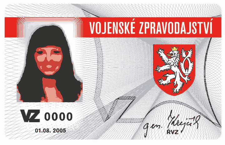 Obrázek