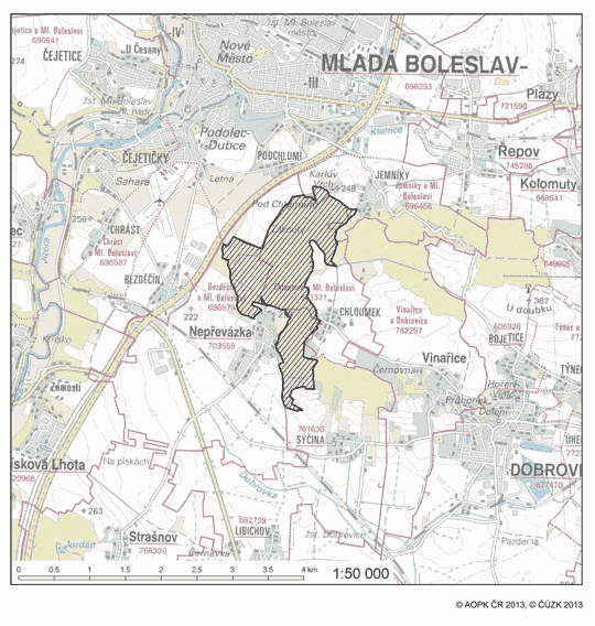 Obrázek