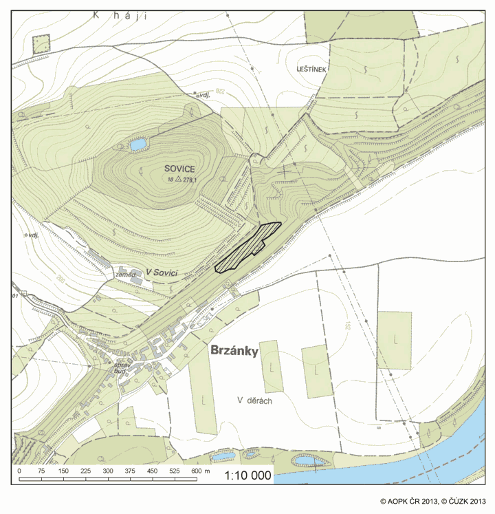 Obrázek