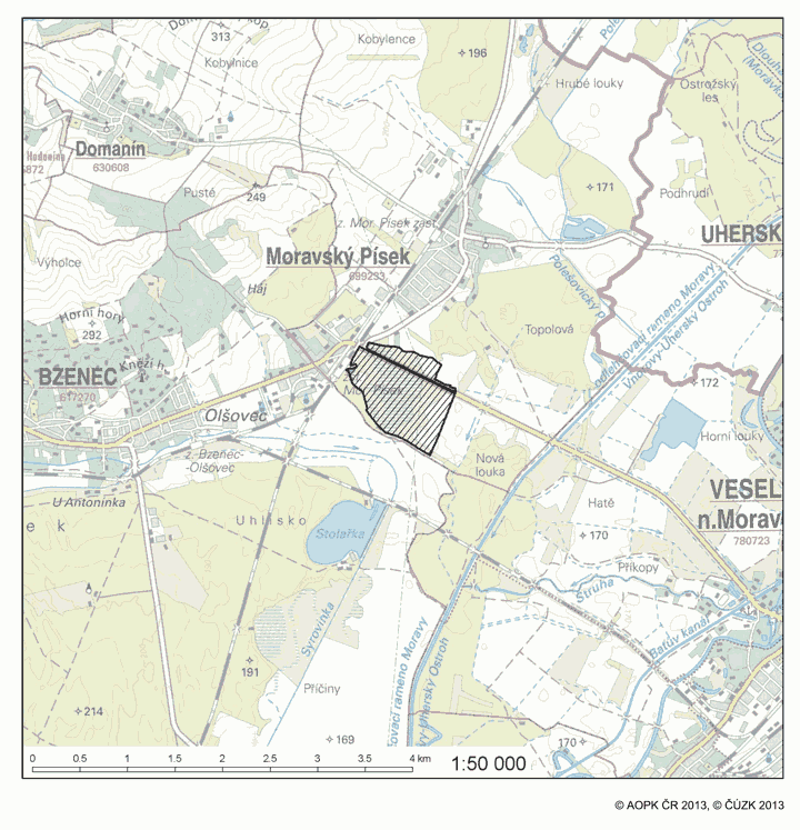 Obrázek