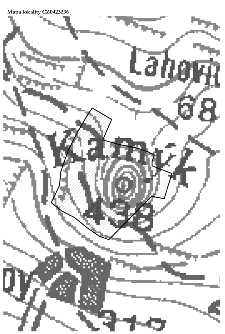 Obrázek