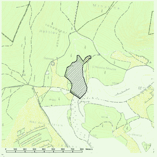 Obrázek