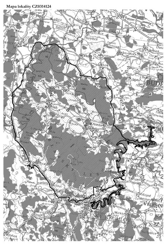 Obrázek