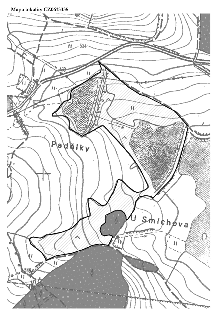 Obrázek