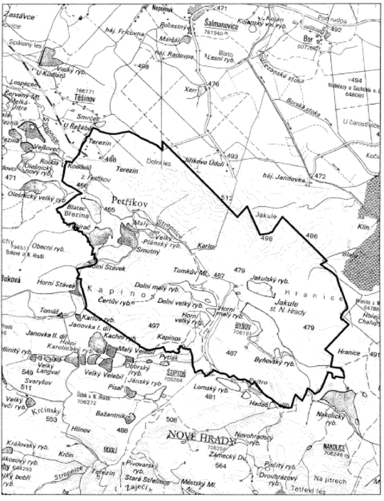 Obrázek