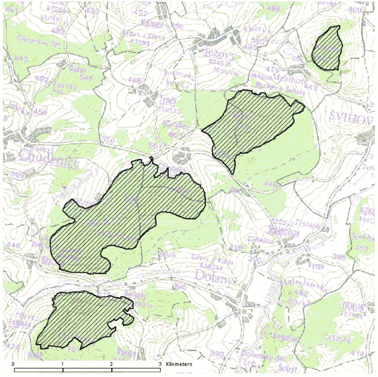 Obrázek
