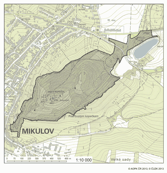 Obrázek