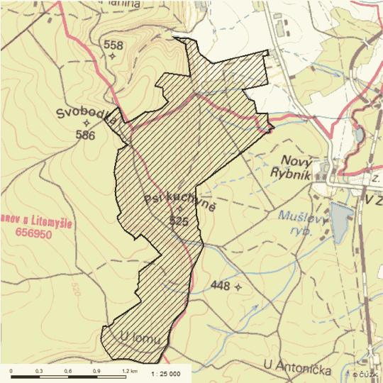 Obrázek