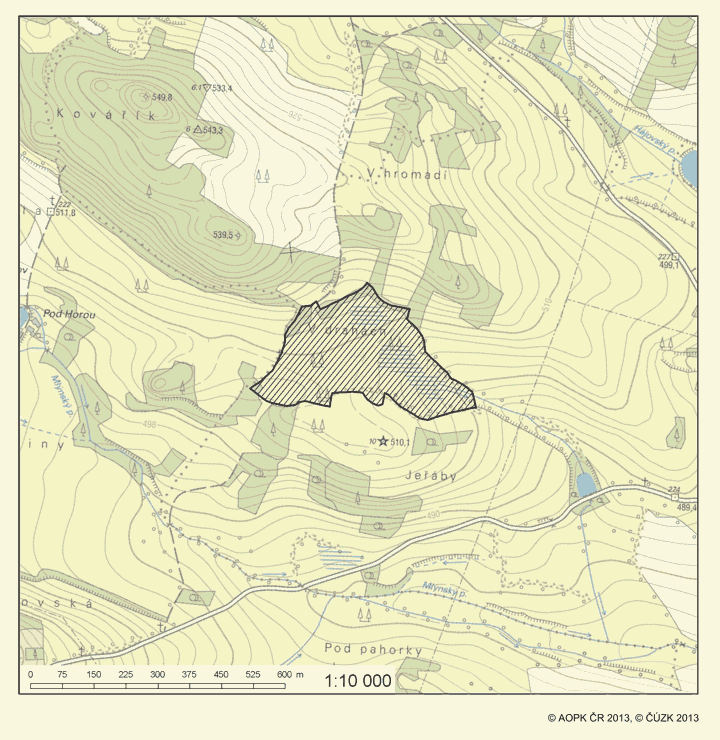 Obrázek