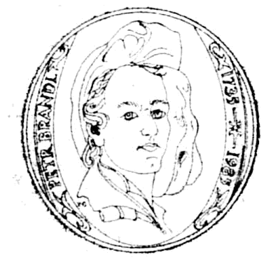 Obrázek