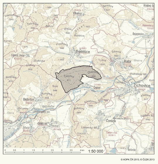 Obrázek