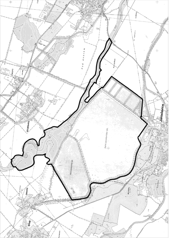 Obrázek