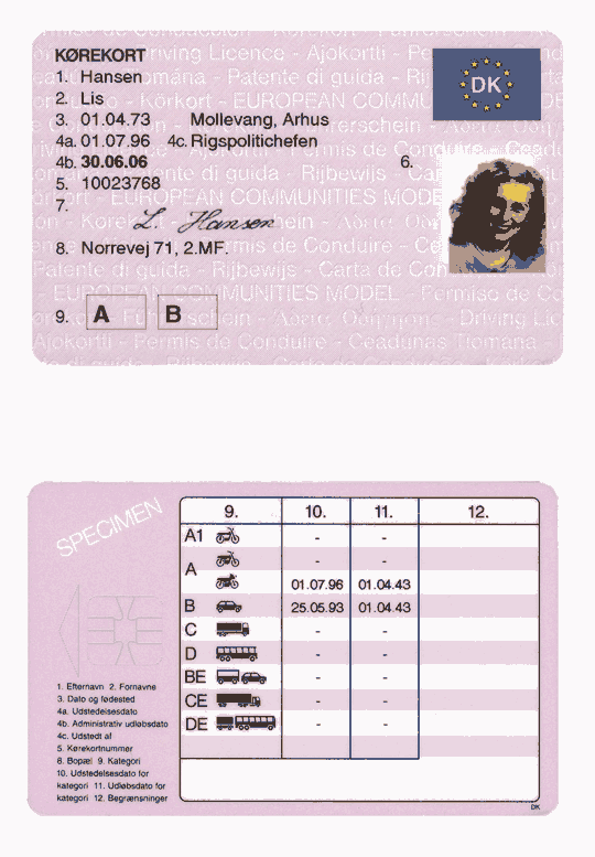 Obrázek