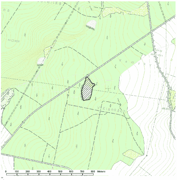 Obrázek
