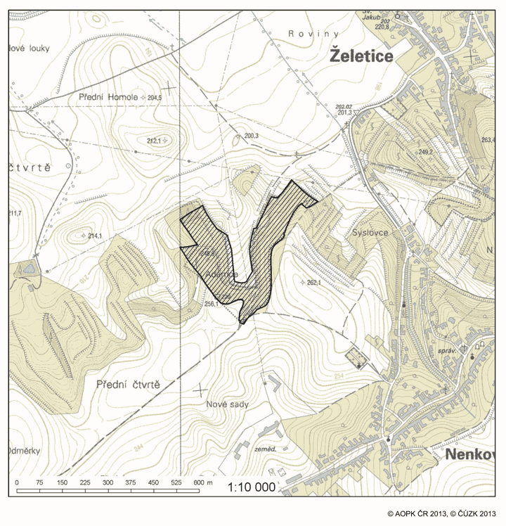 Obrázek