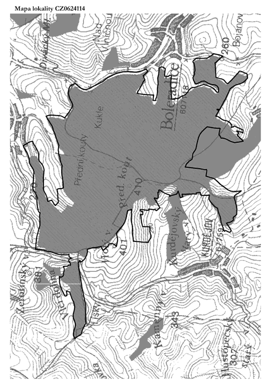 Obrázek