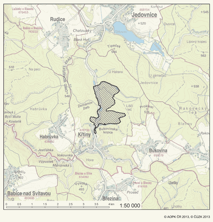 Obrázek