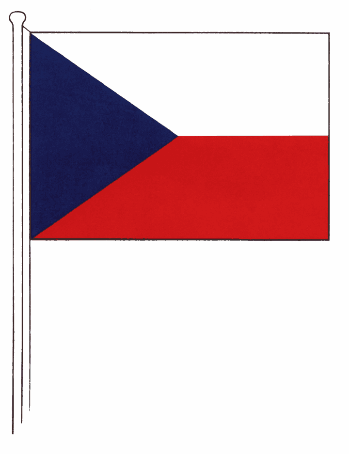 Obrázek