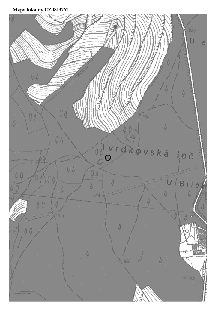 Obrázek