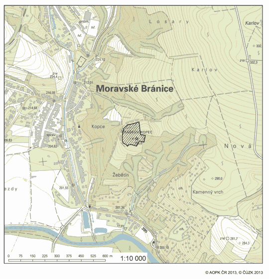 Obrázek