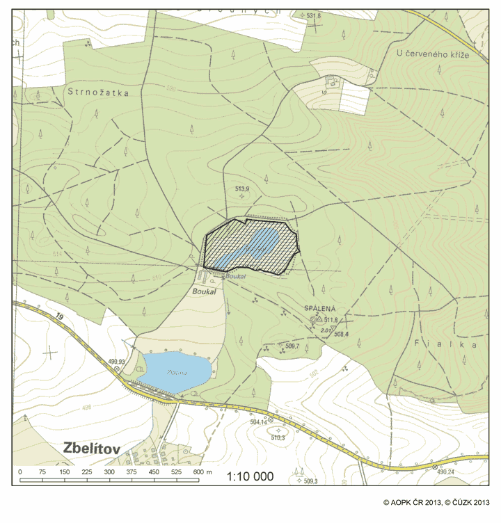 Obrázek