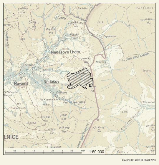 Obrázek