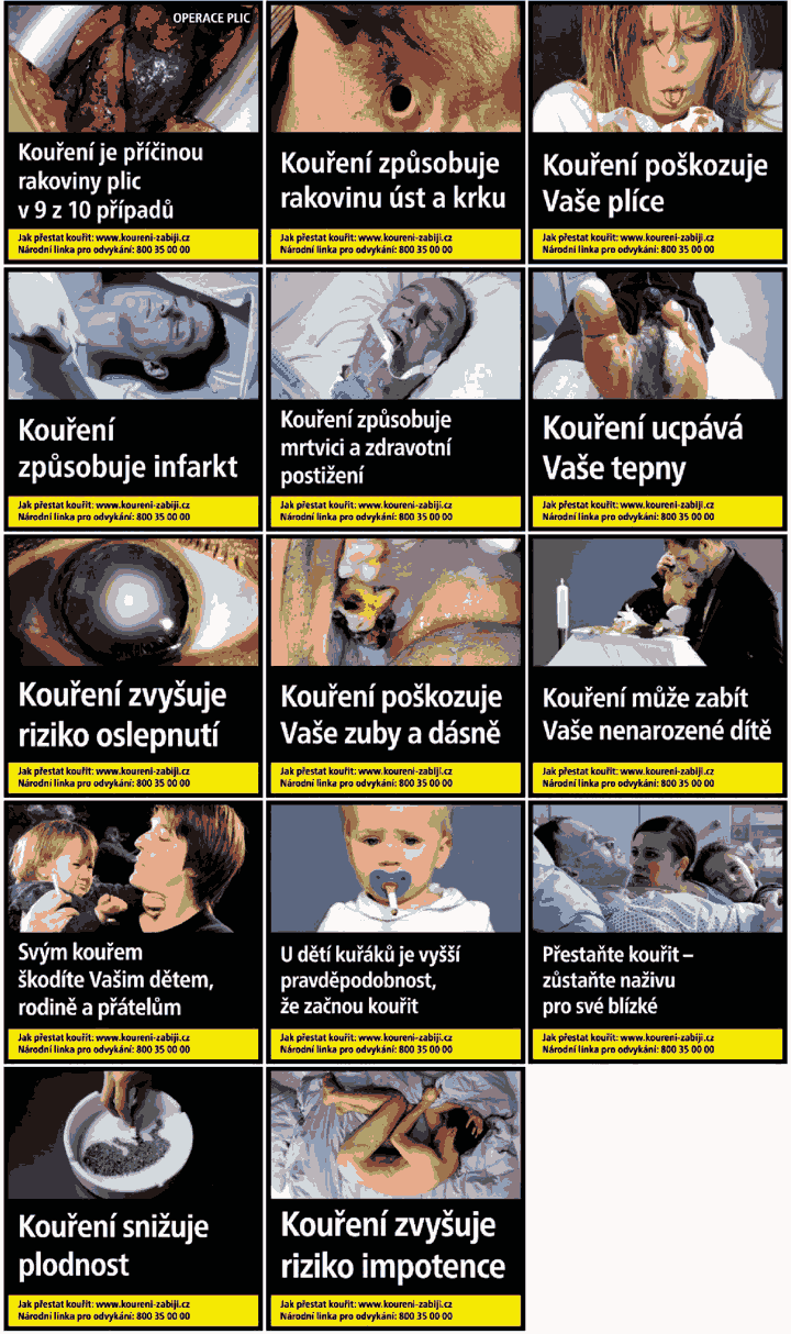Obrázek