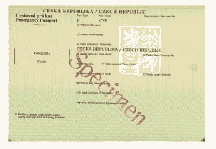Obrázek