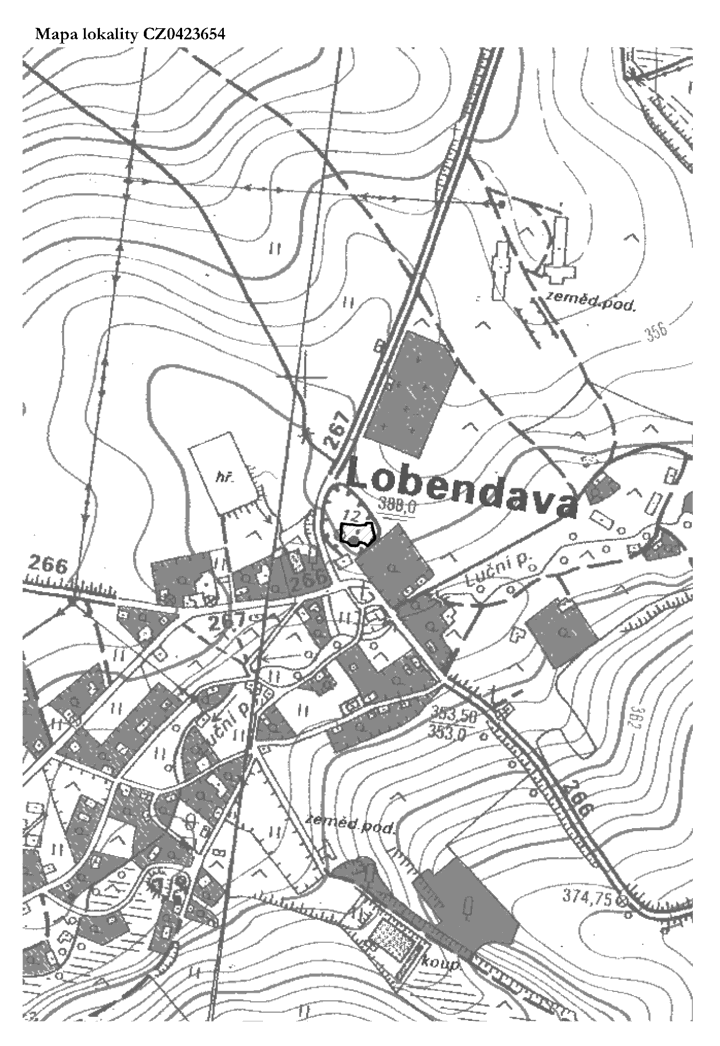 Obrázek