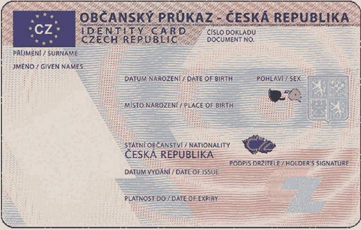 Obrázek