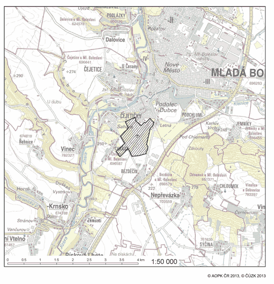 Obrázek