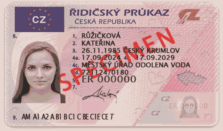 Obrázek