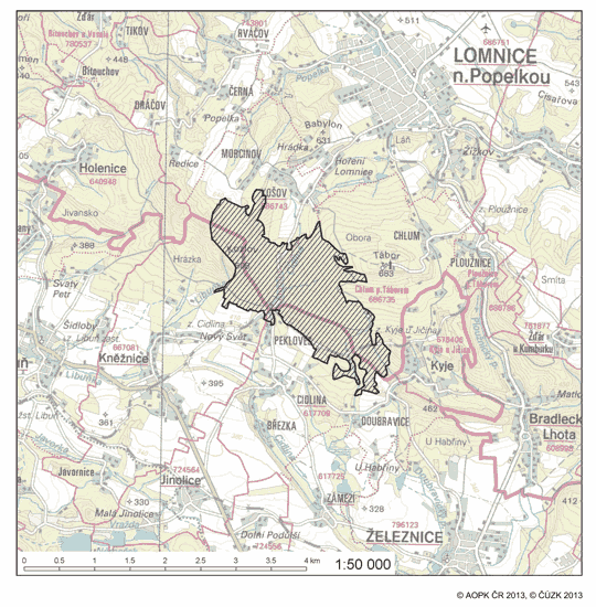 Obrázek