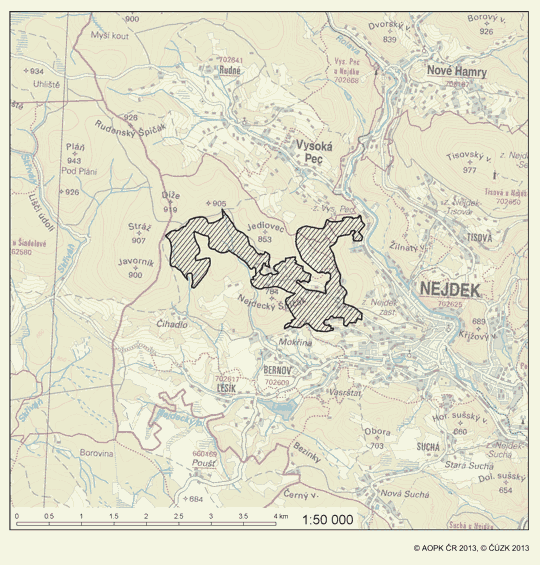Obrázek