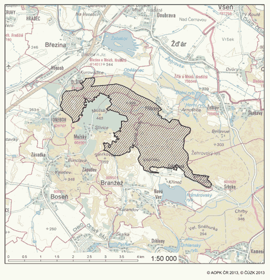Obrázek