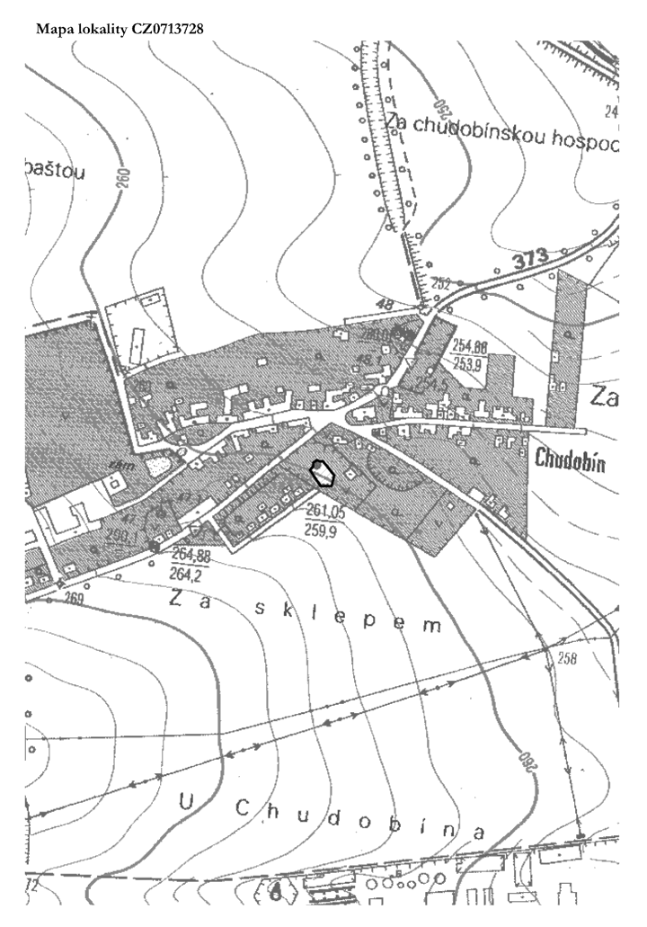 Obrázek