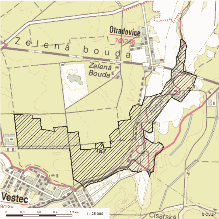 Obrázek