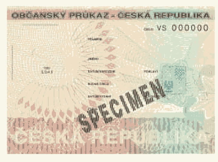 Obrázek