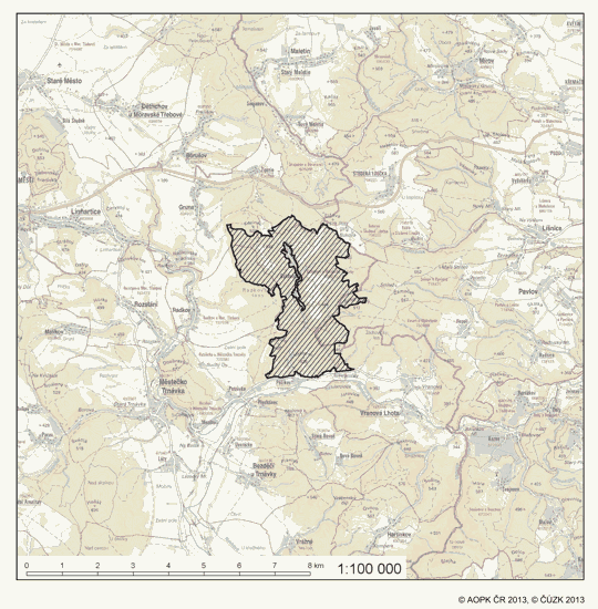 Obrázek