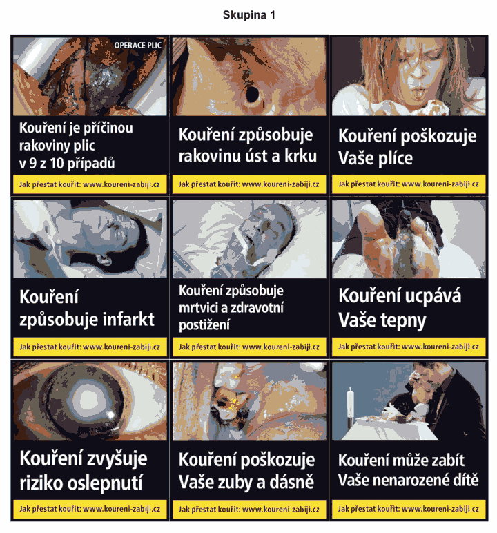 Obrázek