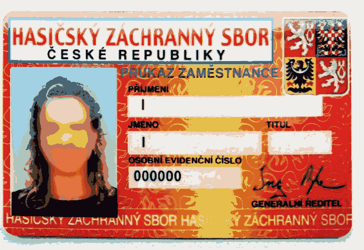 Obrázek