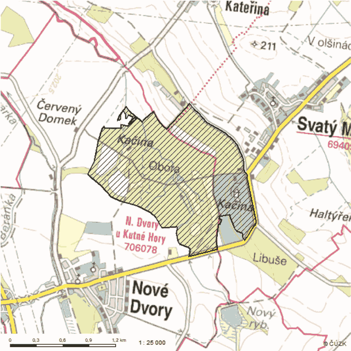 Obrázek