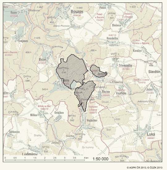Obrázek
