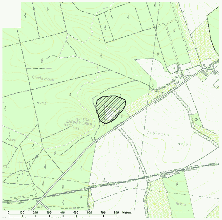 Obrázek