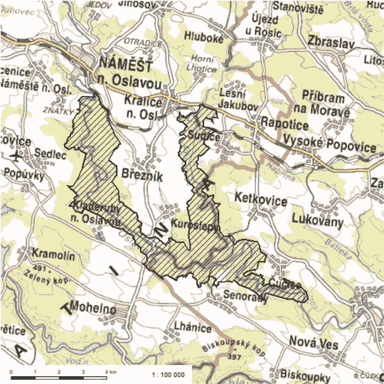 Obrázek