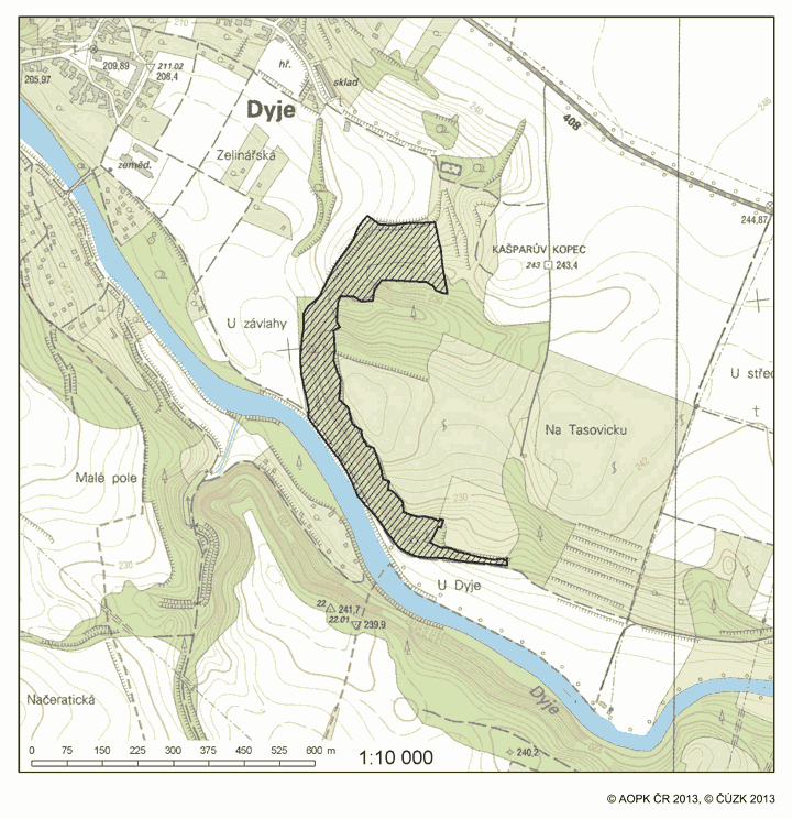 Obrázek