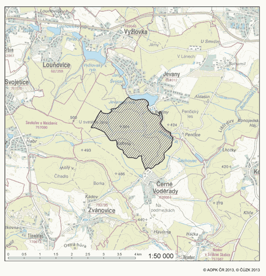 Obrázek