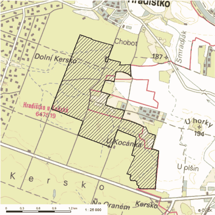 Obrázek