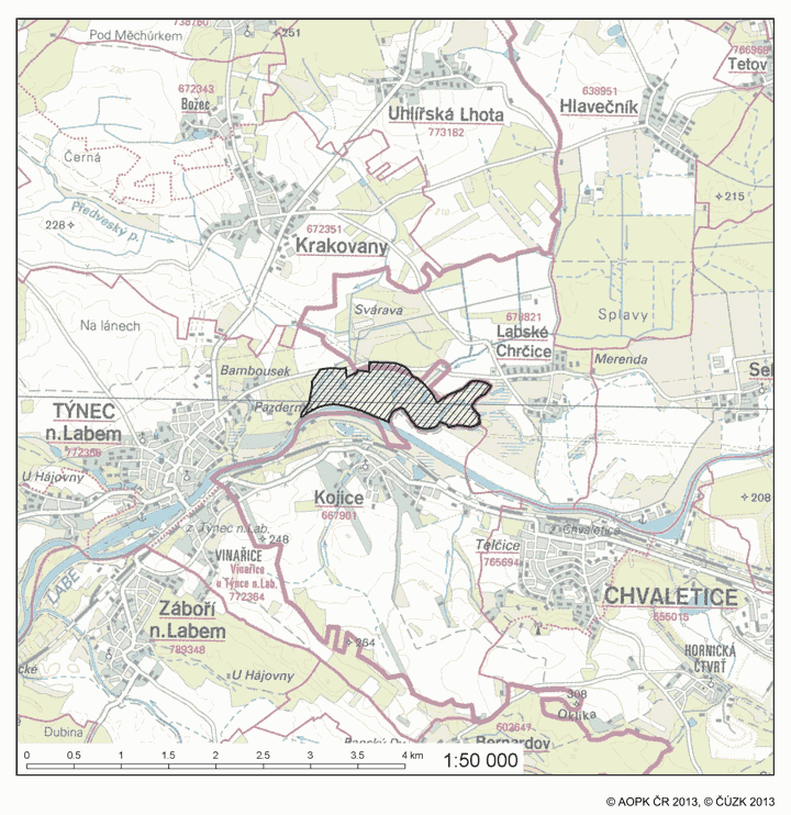 Obrázek
